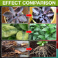 🔥 Подобрител на растежа на растенията - повишава енергията на растежа