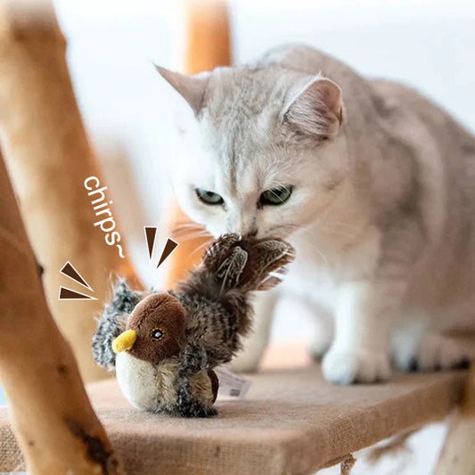🐱 ОБНОВЕНА ЧУРУЛИКАЩА ИГРАЧКА ЗА КОТКИ🐦
