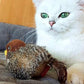 🐱 ОБНОВЕНА ЧУРУЛИКАЩА ИГРАЧКА ЗА КОТКИ🐦