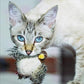 🐱 ОБНОВЕНА ЧУРУЛИКАЩА ИГРАЧКА ЗА КОТКИ🐦