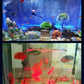 🐠Аквариум с вградени LED светлини